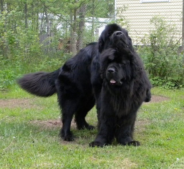 Фотография № 97746