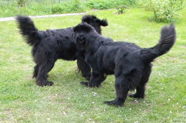 Фотография № 97748