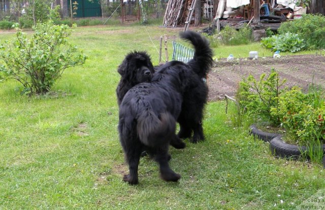 Фотография № 97750