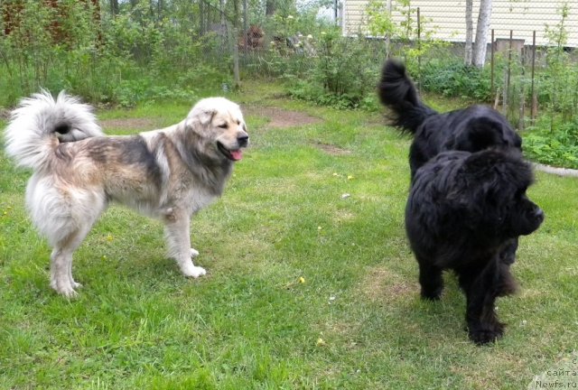 Фотография № 97752