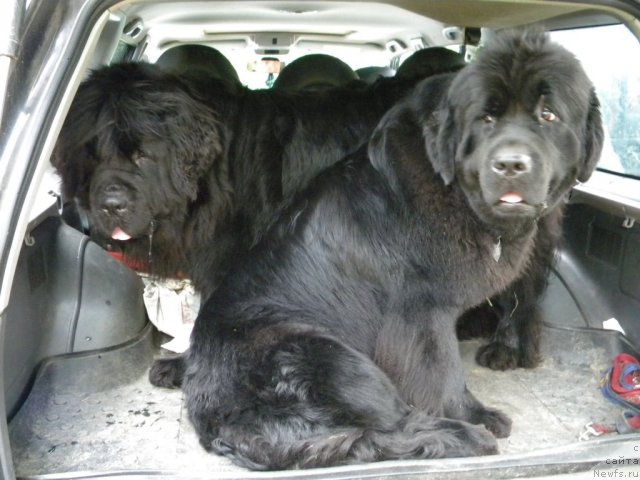 Фотография № 97757