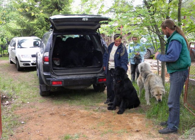 Фотография № 97758