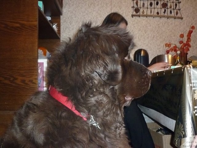 Фотография № 97761