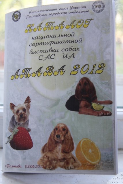 Фотография № 97764