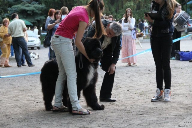 Фотография № 97795