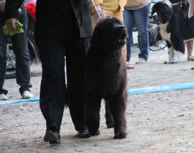 Фотография № 97798