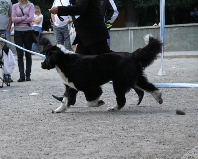 Фотография № 97802