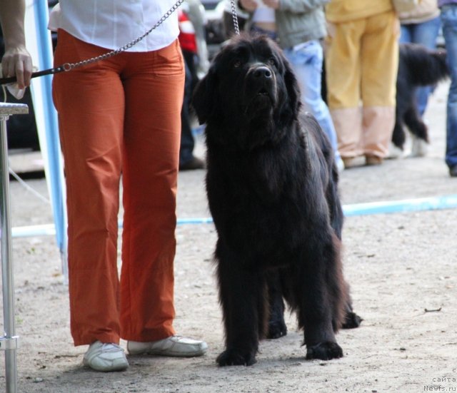 Фотография № 97803