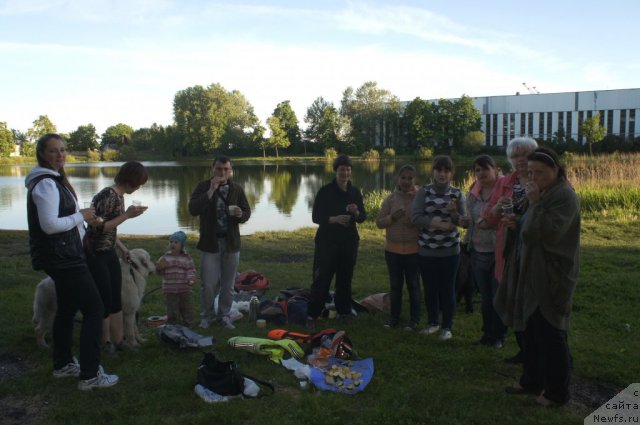 Фотография № 97805