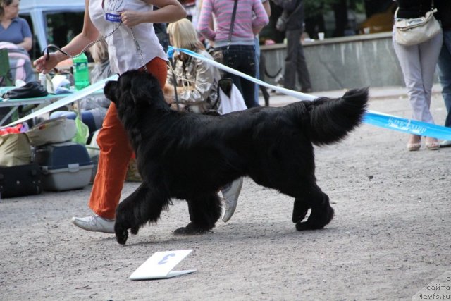 Фотография № 97806