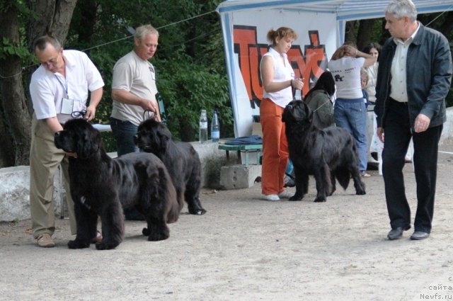 Фотография № 97830