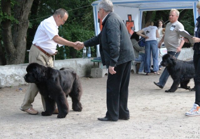 Фотография № 97831