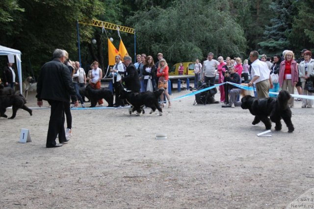 Фотография № 97833