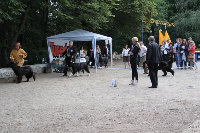 Фотография № 97834