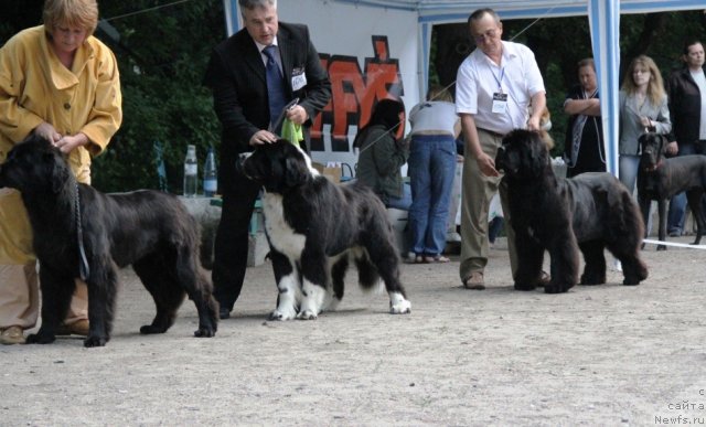 Фотография № 97835