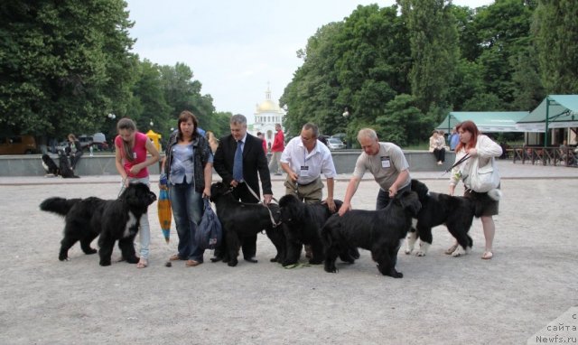 Фотография № 97838