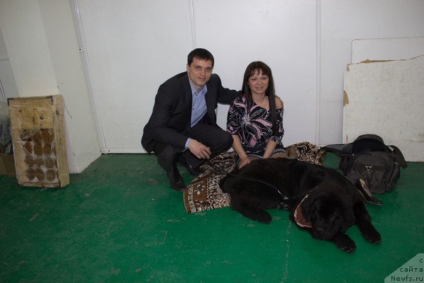 Фото: ньюфаундленд Дар Свезы Бесаме Мучо