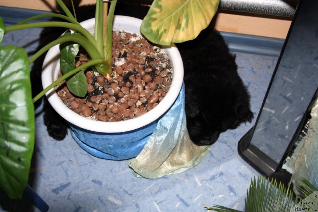 Фотография № 98023