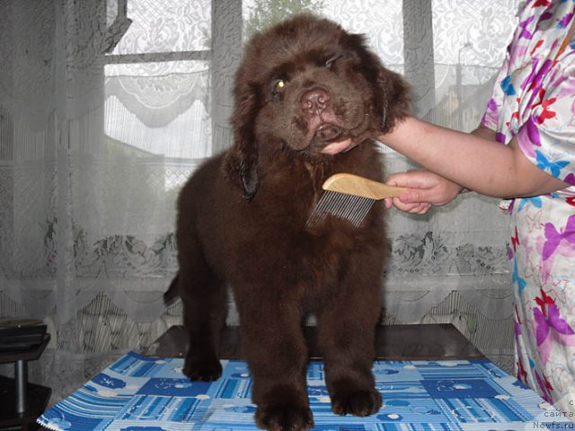 Фотография № 98033