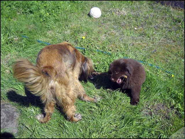 Фотография № 98040