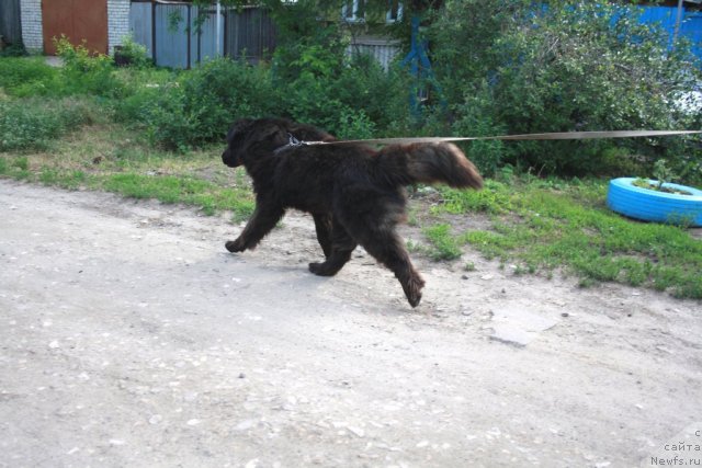 Фотография № 98072