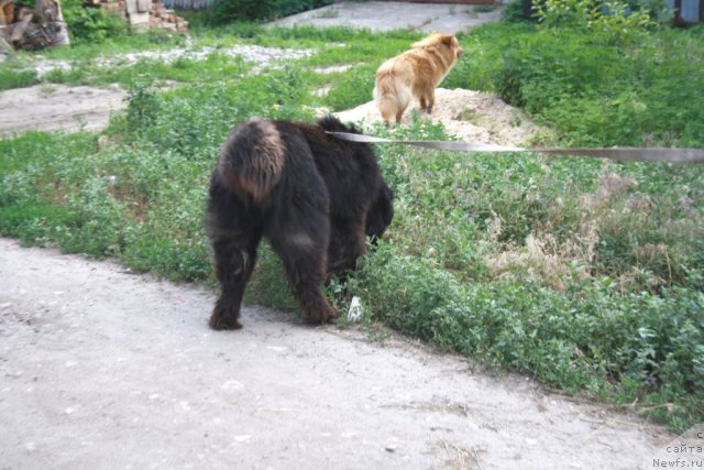 Фотография № 98073