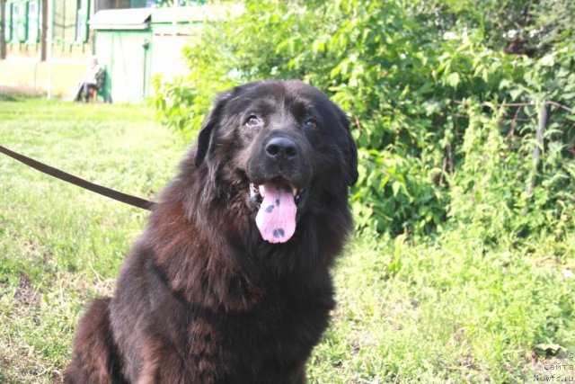 Фотография № 98074