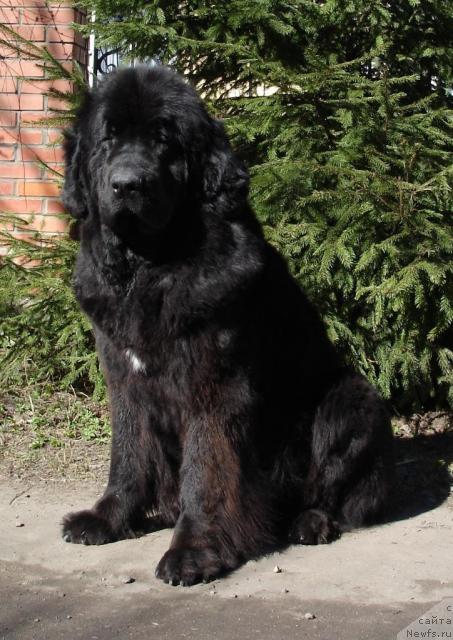 Фотография № 9808