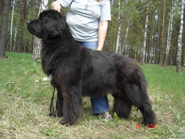 Фотография № 9809