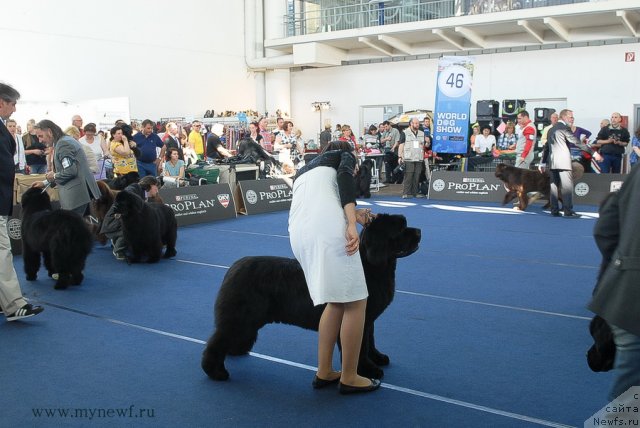 Фотография № 98115