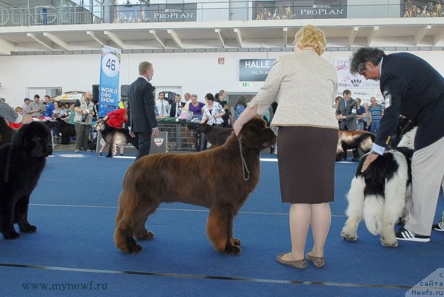 Фотография № 98116