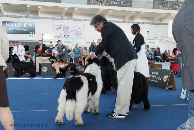 Фотография № 98119