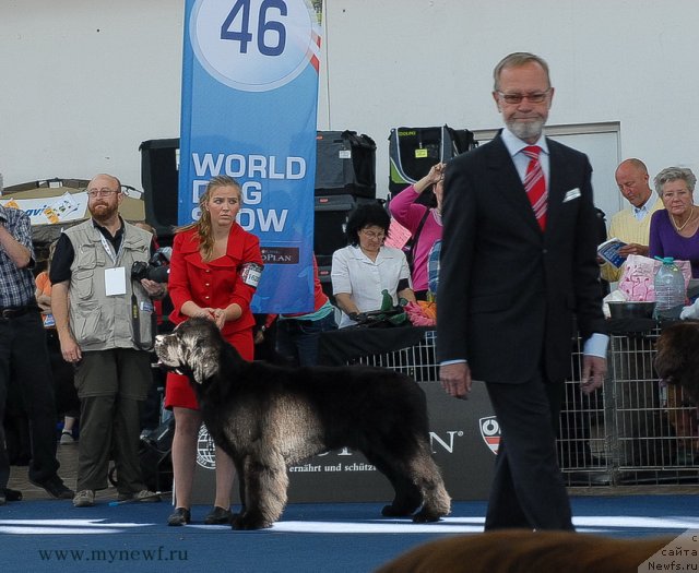 Фотография № 98120