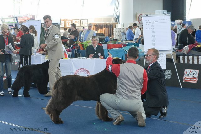 Фотография № 98122