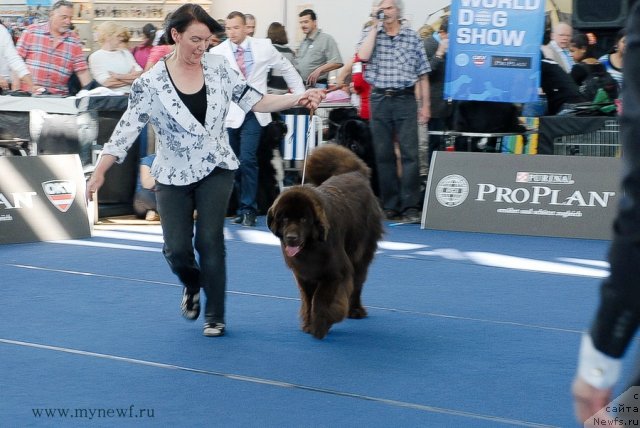 Фотография № 98123