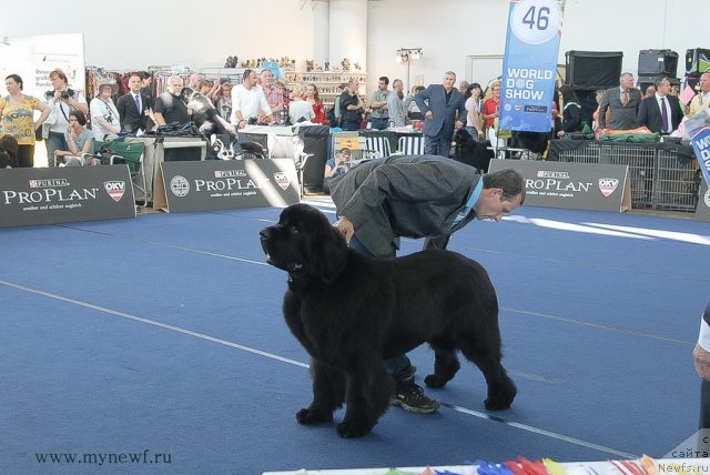 Фотография № 98127