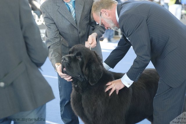 Фотография № 98129