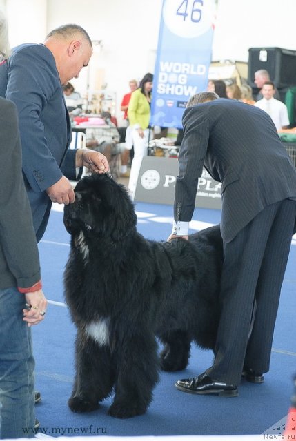 Фотография № 98133