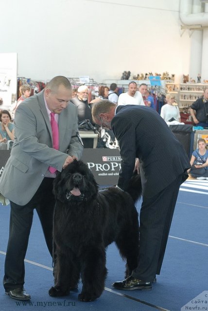 Фотография № 98135