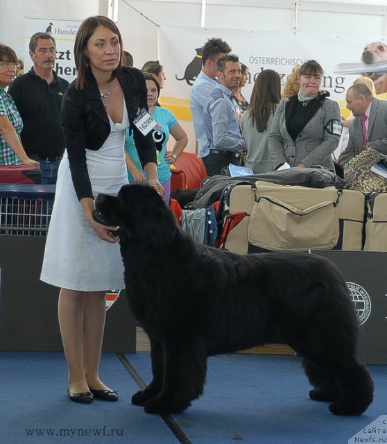 Фотография № 98137