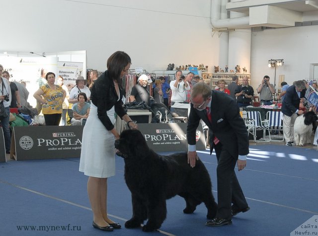 Фотография № 98138