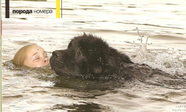 Фотография № 9814