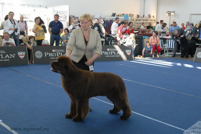 Фотография № 98140