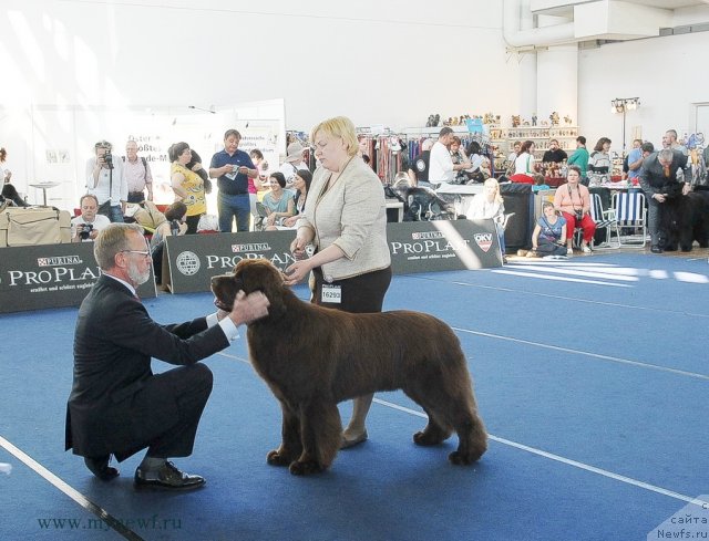 Фотография № 98141