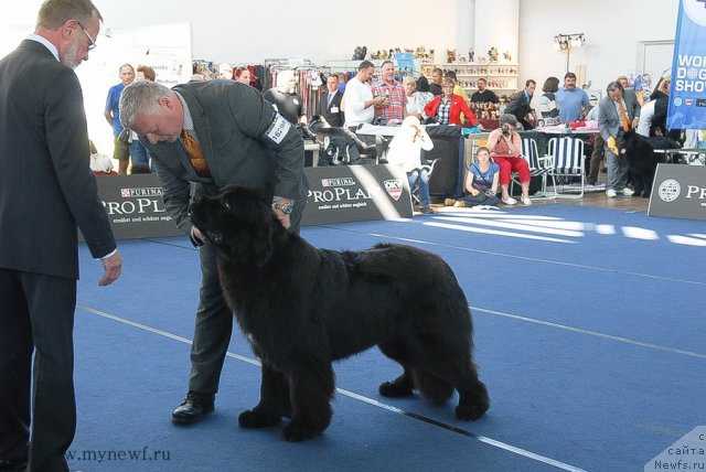 Фотография № 98142