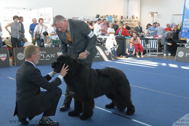 Фотография № 98143