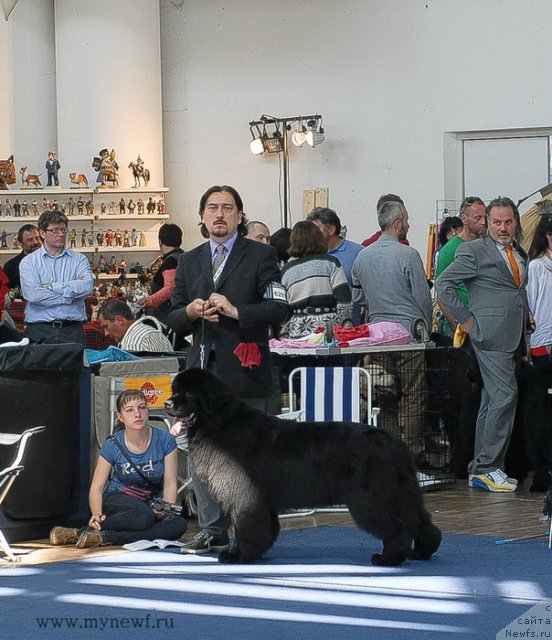 Фотография № 98146