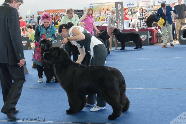 Фотография № 98151