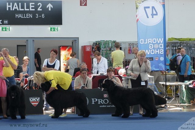 Фотография № 98153