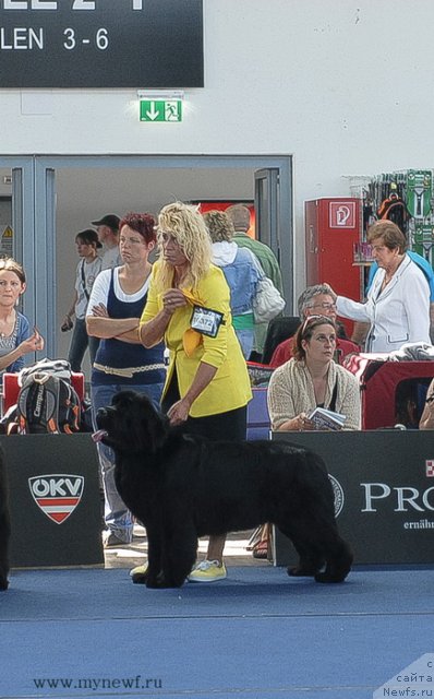 Фотография № 98154